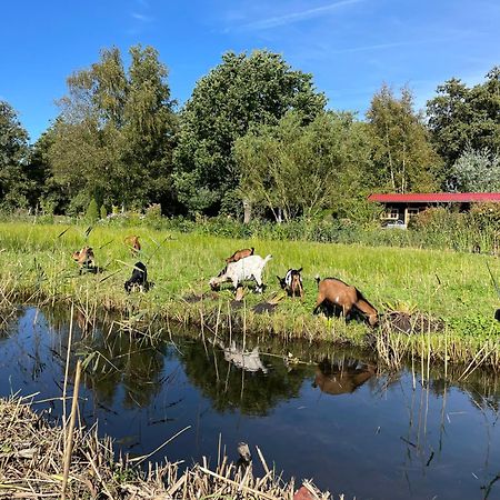 Huisje Op De Dijk Kortenhoef Zewnętrze zdjęcie