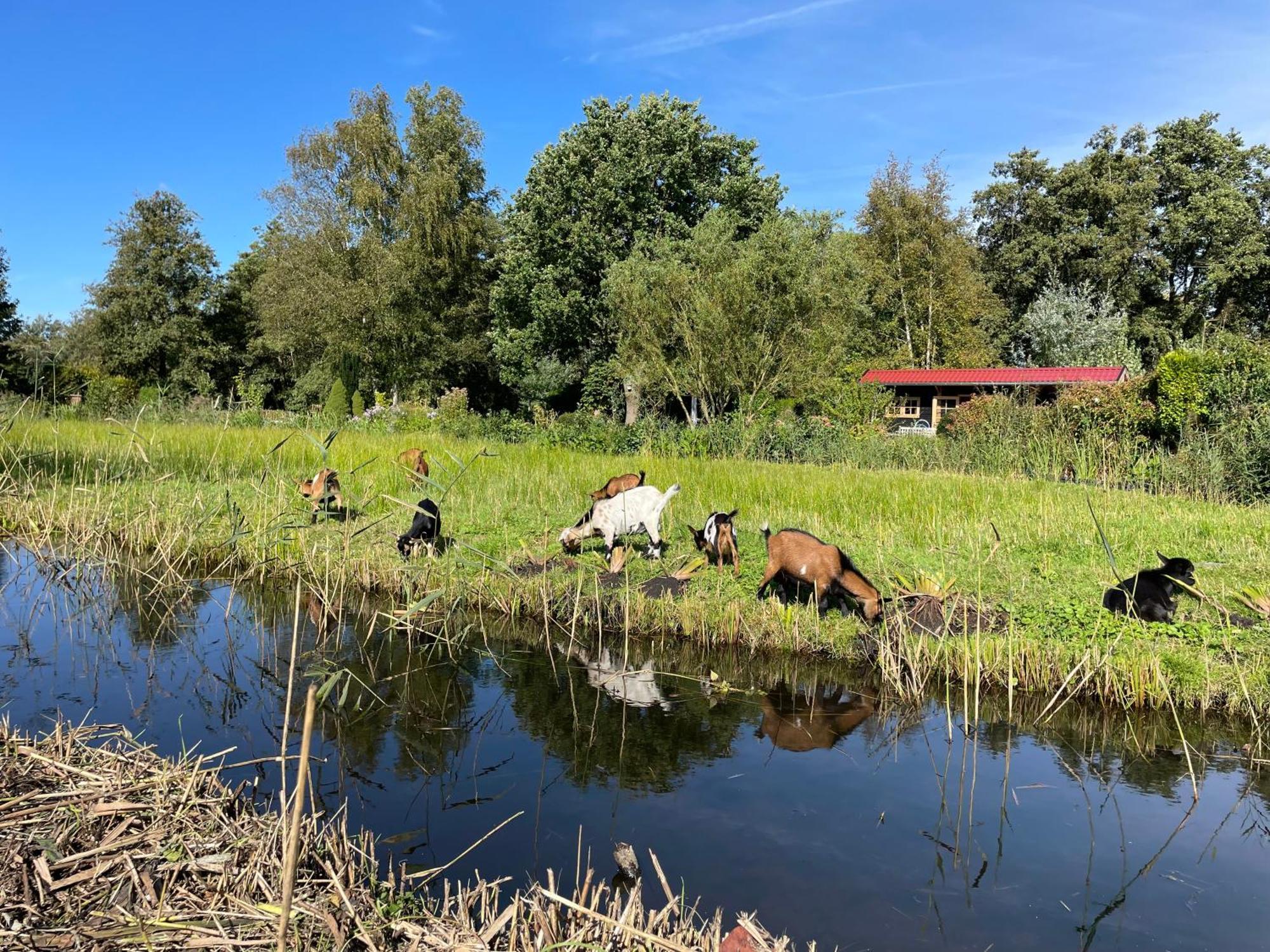 Huisje Op De Dijk Kortenhoef Zewnętrze zdjęcie