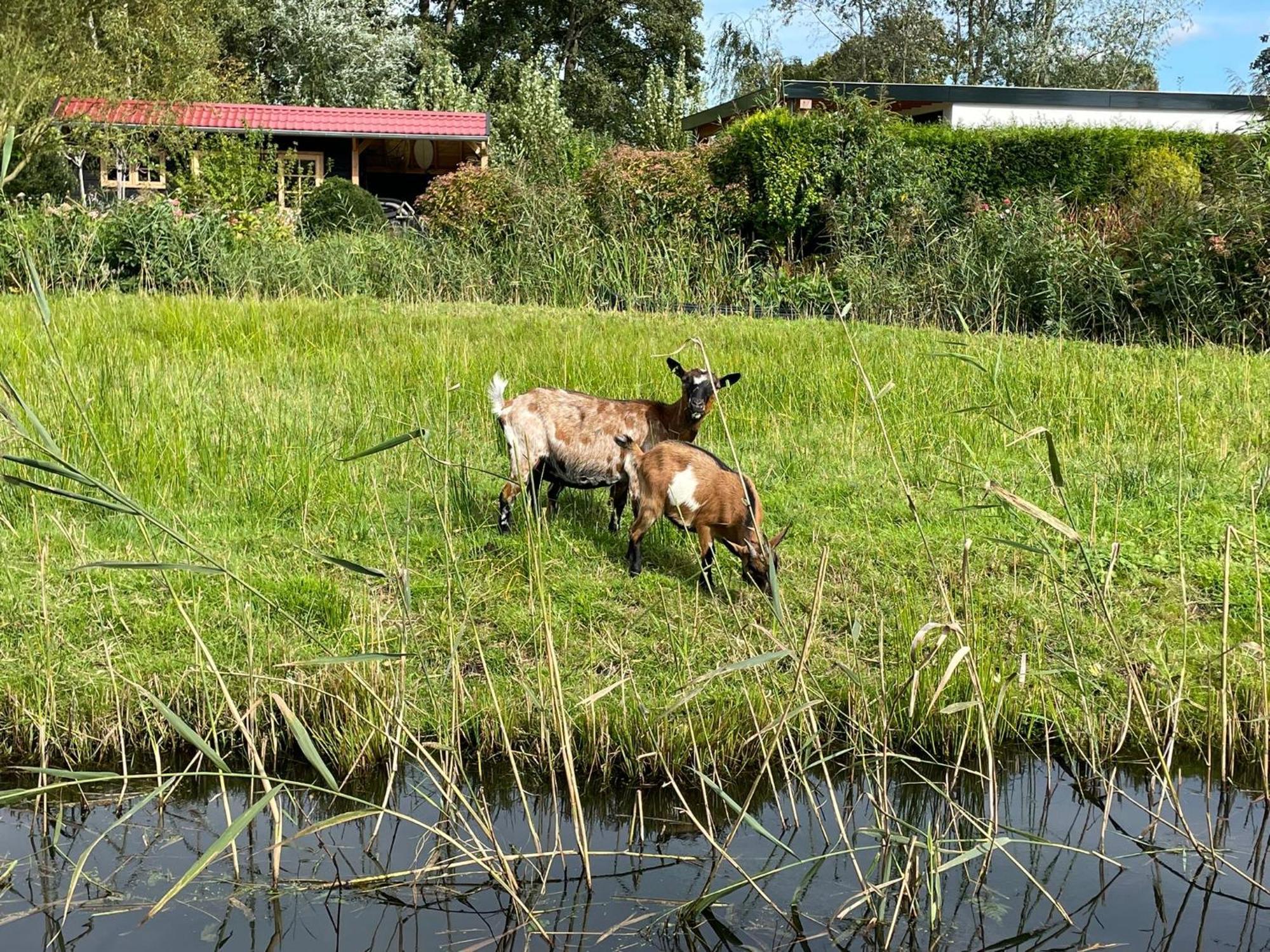 Huisje Op De Dijk Kortenhoef Zewnętrze zdjęcie